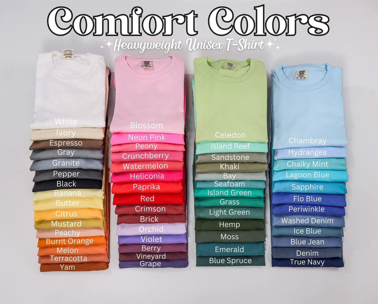 Living the Prayers I used to Pray for T-shirt Comfort Colors